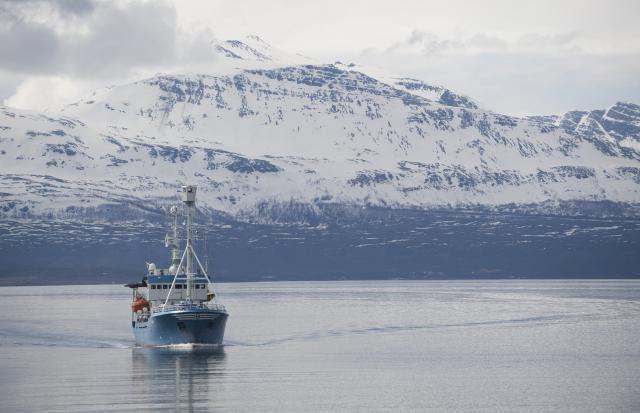 Một tàu nghiên cứu khảo sát ở Vòng Bắc Cực (Saul Loeb/AFP/GettyImages)
